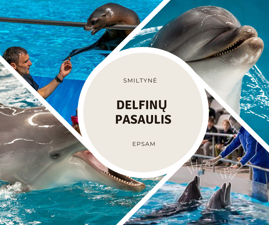 Smiltynė – jūrų pasaulis ir delfinai